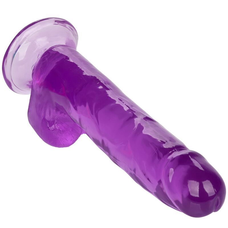 CALEXOTICS - SIZE QUEEN DILDO PURPLE 20.3 CM 4 CALEXOTICS - SIZE QUEEN DILDO PURPLE 20.3 CM - obrazek 4