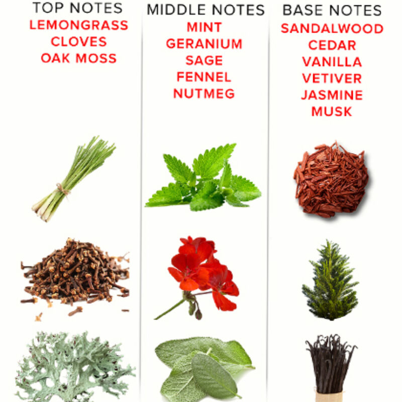 EYE OF LOVE - EOL PHEROMONE PARFUM 10 ML - ROMANTIC 3 EYE OF LOVE - EOL PHEROMONE PARFUM 10 ML - ROMANTIC - obrazek 3