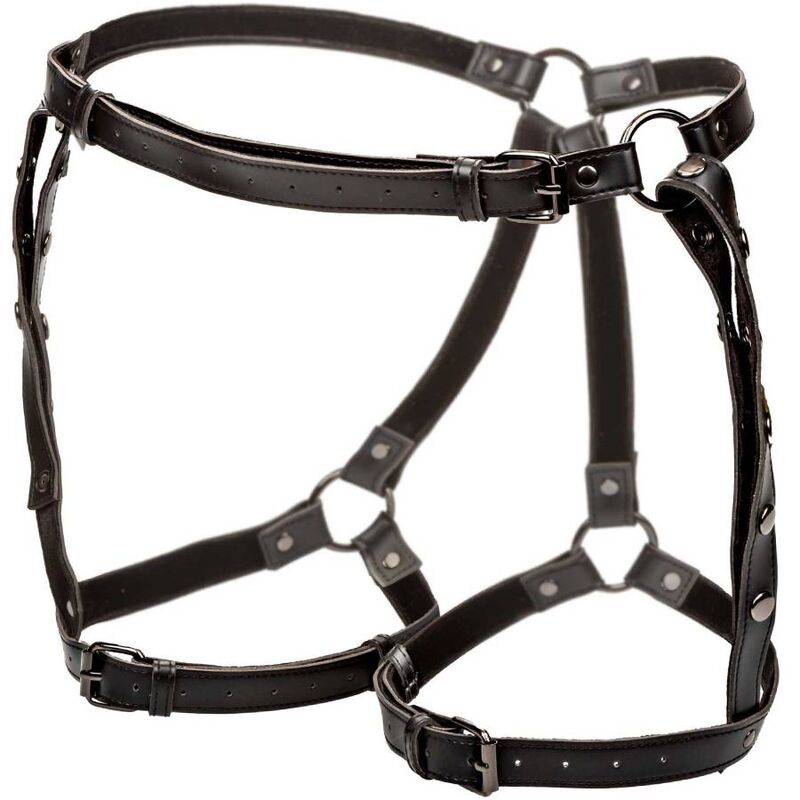 CALEXOTICS - EUPHORIA RIDING THIGH HARNESS 4 CALEXOTICS - EUPHORIA RIDING THIGH HARNESS - obrazek 4