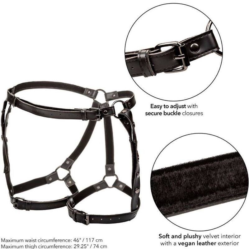 CALEXOTICS - EUPHORIA PLUS SIZE RIDING THIGH HARNESS 5 CALEXOTICS - EUPHORIA PLUS SIZE RIDING THIGH HARNESS - obrazek 5