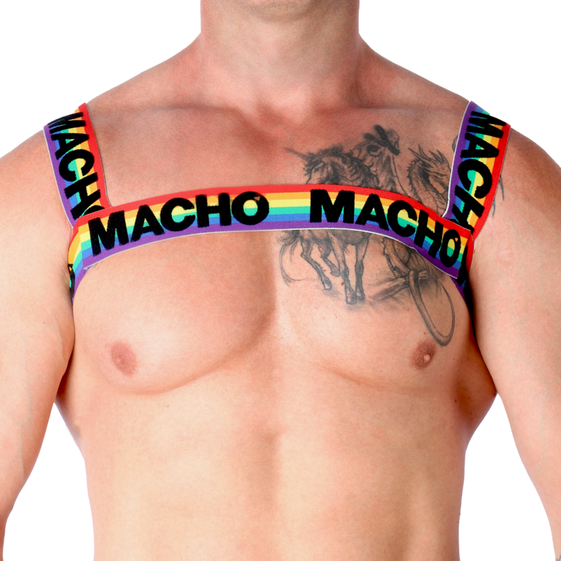 MACHO - DOUBLE HARNESS PRIDE LIMITED 5 MACHO - DOUBLE HARNESS PRIDE LIMITED - obrazek 5