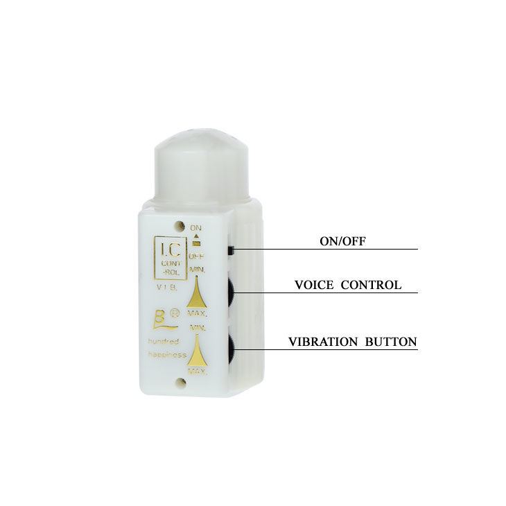 BAILE - MR BIG REALISTIC PENIS AND ANUS MASTURBATOR 5 BAILE - MR BIG REALISTIC PENIS AND ANUS MASTURBATOR - obrazek 5