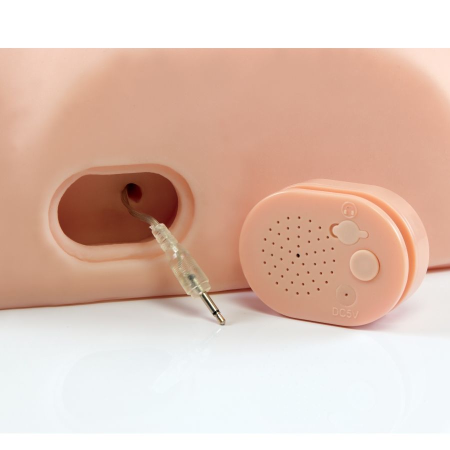 PDX MALE - INTERACTIVE FUCK HIM SILLY 5 PDX MALE - INTERACTIVE FUCK HIM SILLY - obrazek 5