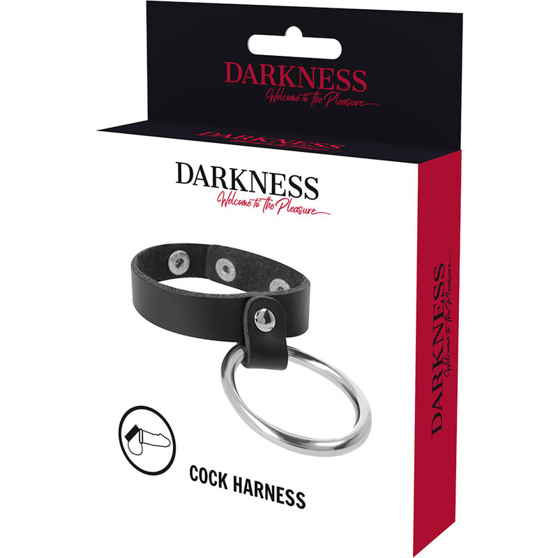 DARKNESS - METAL RING FOR THE PENIS AND TESTICLES 5 DARKNESS - METAL RING FOR THE PENIS AND TESTICLES - obrazek 5